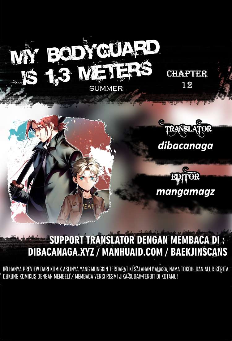 My Bodyguard is 1,3 Meters Chapter 12