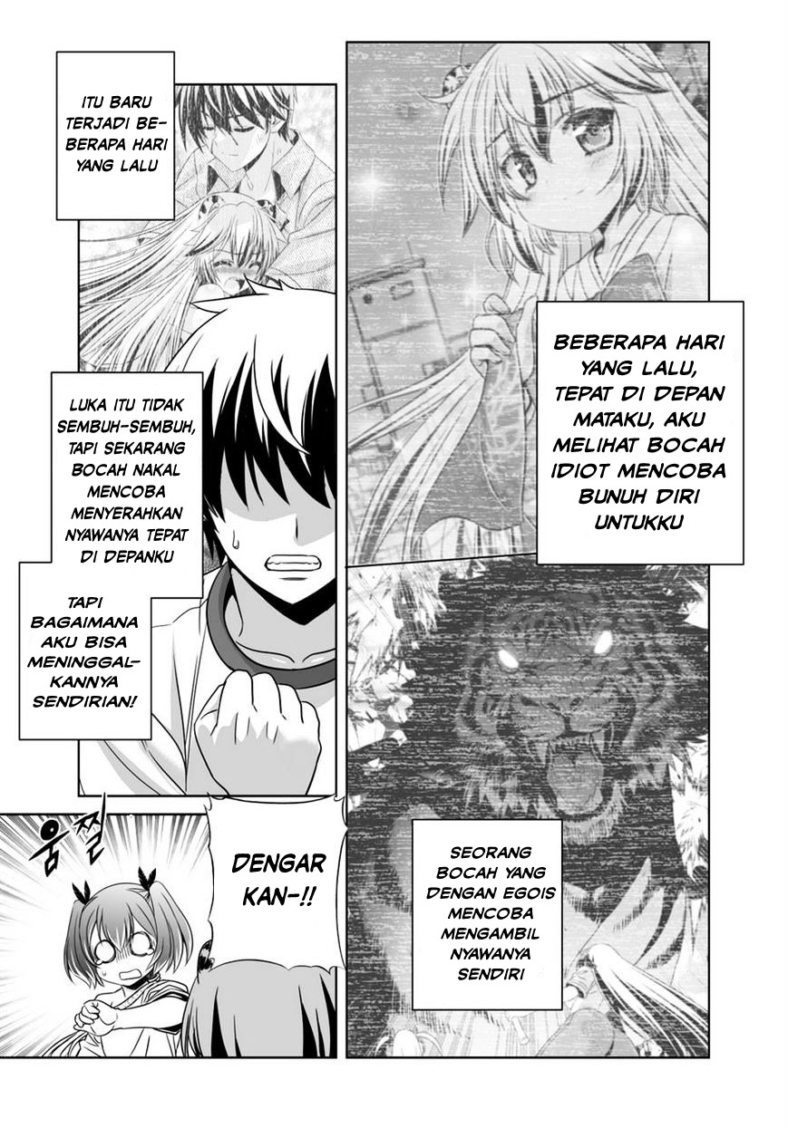 My Love Tiger Chapter 34