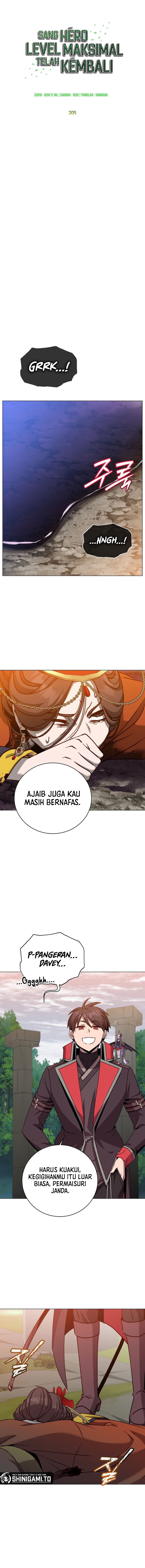 the-max-level-hero-has-returned Chapter 205