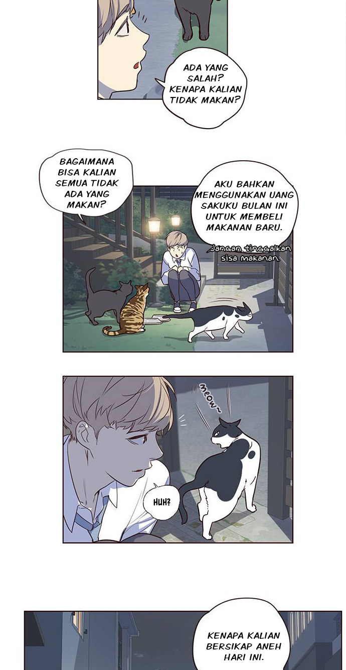 Tukang Kucing Chapter 1