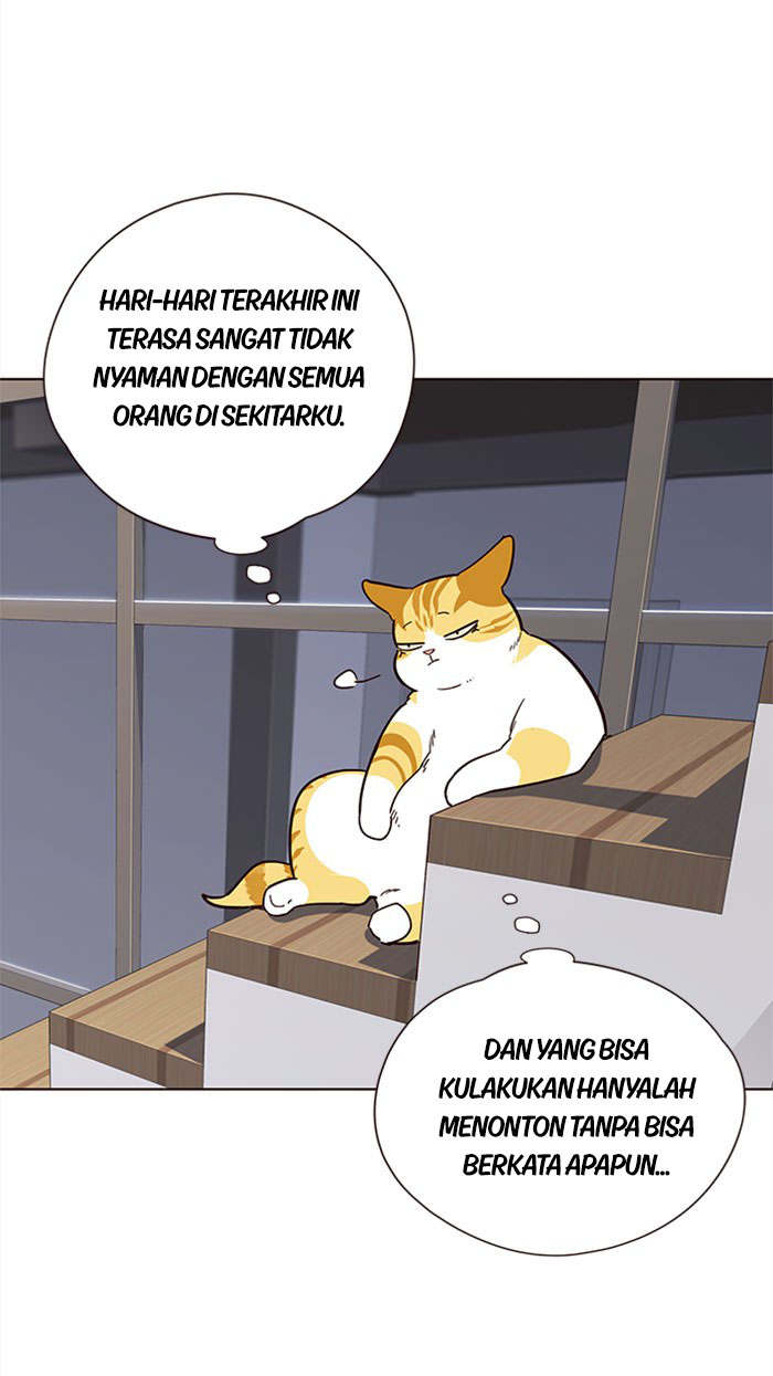 Tukang Kucing Chapter 35