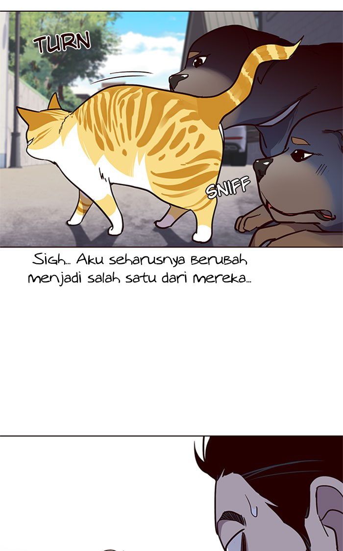 Tukang Kucing Chapter 36