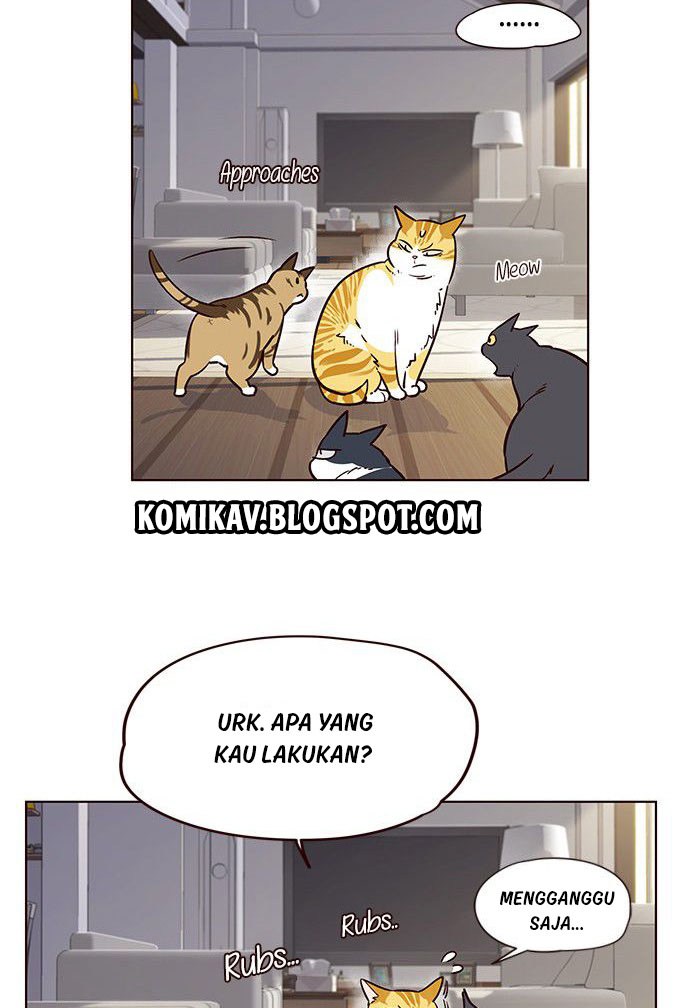 Tukang Kucing Chapter 6