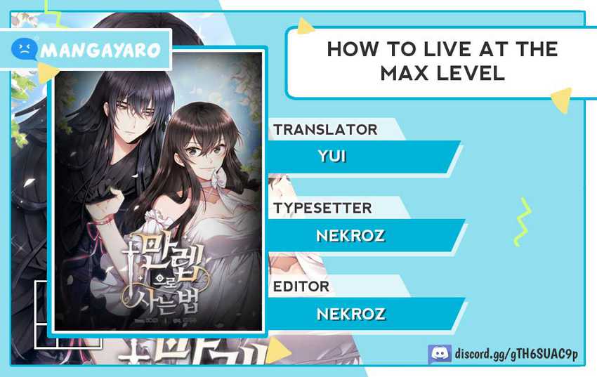 How to Live at the Max Level Chapter 11