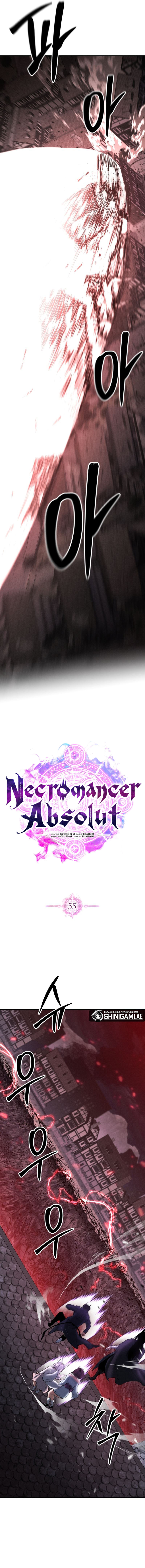 Absolute Necromancer Chapter 55
