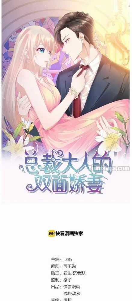 The President Lovely Wife Chapter 1