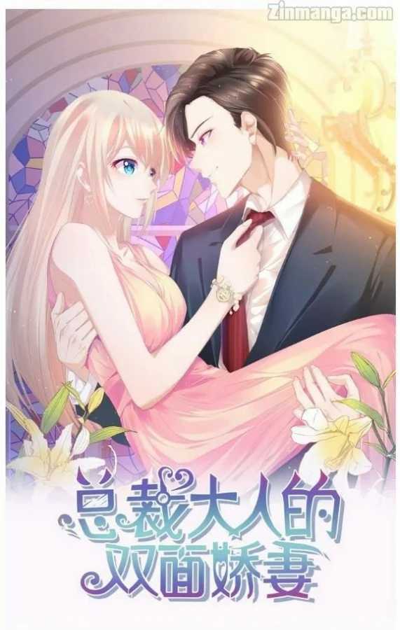 The President Lovely Wife Chapter 2