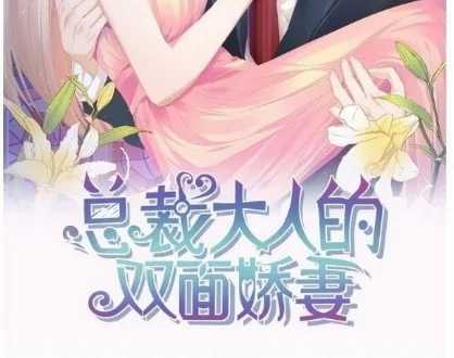 The President Lovely Wife Chapter 3