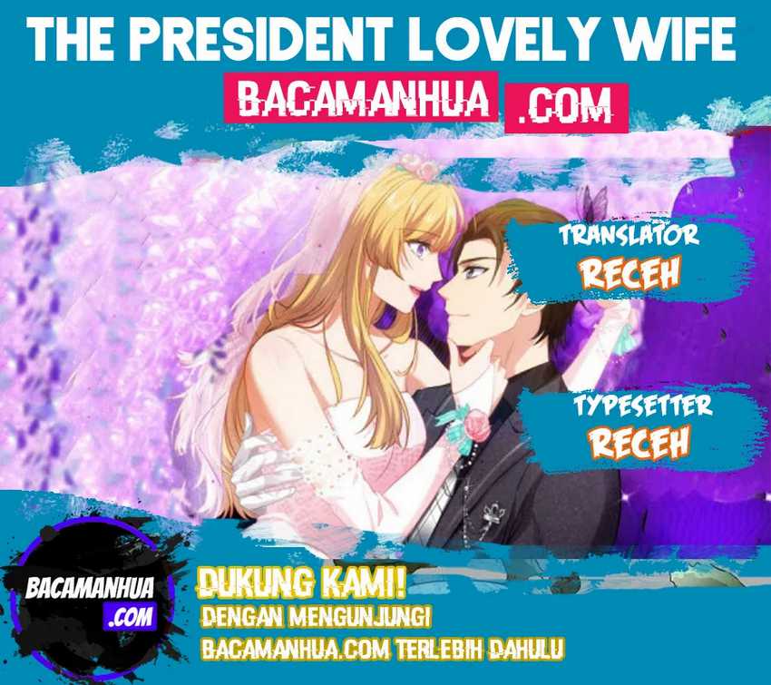 The President Lovely Wife Chapter 3